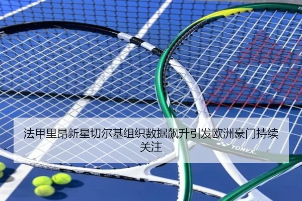 法甲里昂新星切尔基组织数据飙升引发欧洲豪门持续关注